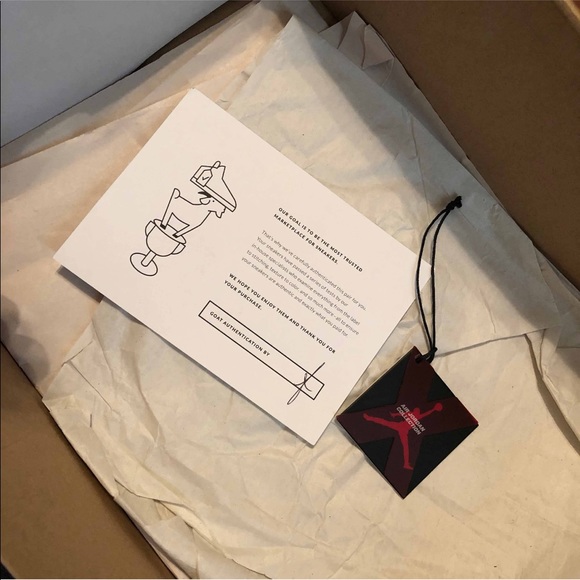 Jordan 10 Chicago’s 2012 - Picture 8 of 8